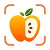 OPlayer Lite